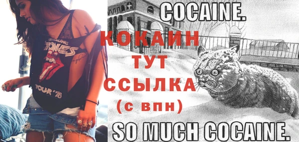 а пвп мука Абаза