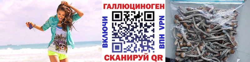 где купить наркоту  Сусуман  Галлюциногенные грибы ЛСД 